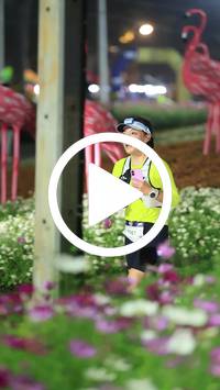 BIB:  <button type="button" onclick="openModal(27589950)" class="btn btn-primary btn-sm float-right" data-toggle="modal" data-target=".modal-high-quality">
                <i class="fa fa-download"></i> Download
                </button>